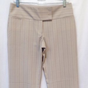 Express Publicist Wide Leg Dress Pants